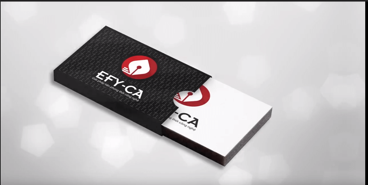 TOP 10 chữ ký số giá rẻ, uy tín, bán chạy nhất hiện nay 20 Chữ ký số EFY